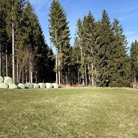 Bed & Breakfast Schwarzwald Ledi - Feldberg (Baden-Wurttemberg)