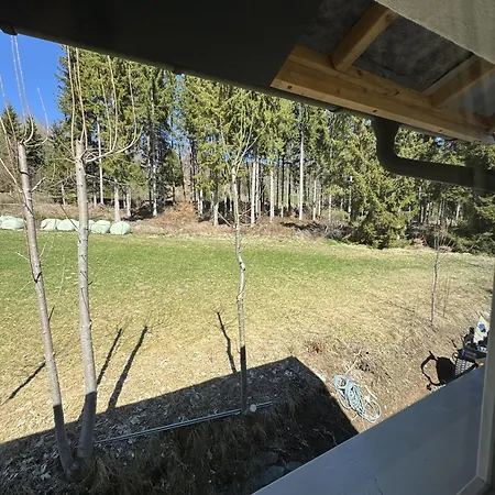 Schwarzwald Ledi - 3* Feldberg (Baden-Wurttemberg)
