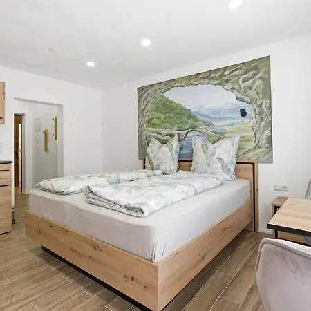 Schwarzwald Ledi - B&B 3*